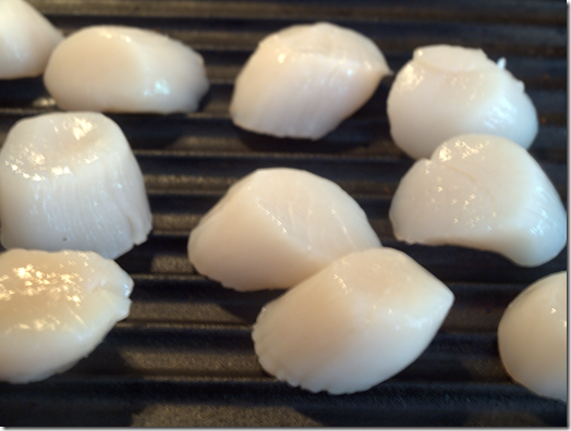 sea scallops