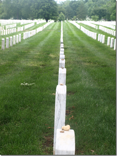 Arlington National Cemetary