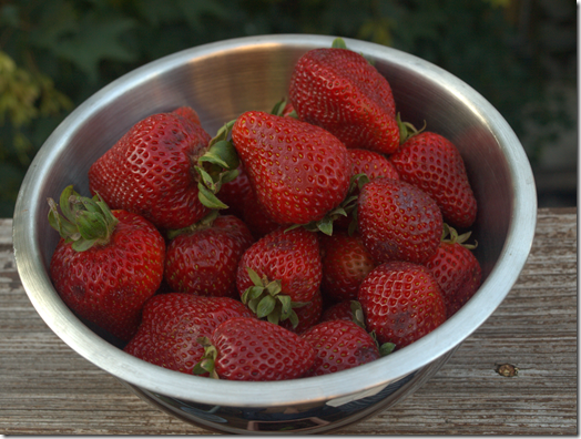 strawberries