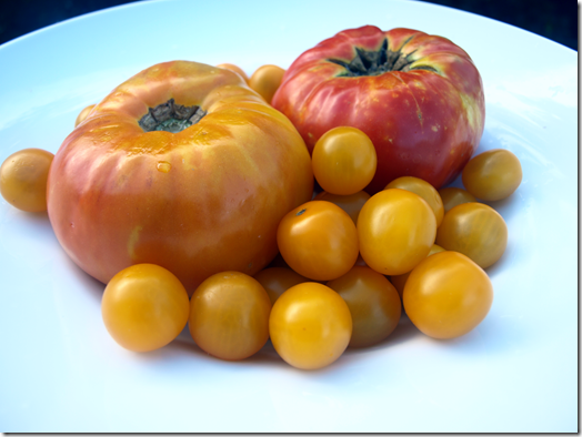 heirloom tomatoes