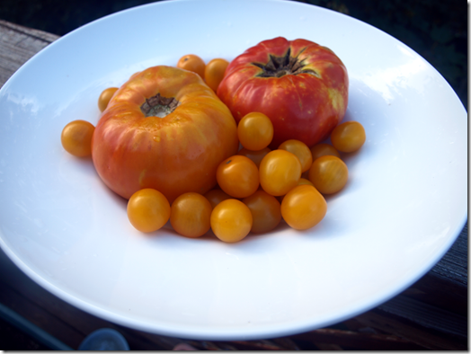 heirloom tomatoes