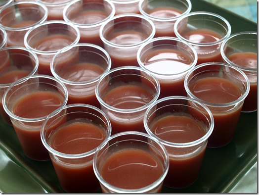 watermelon gazpacho