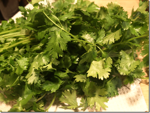 cilantro