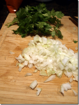 cilantro and onion 