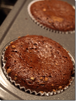 flourless chocolate cupcakes