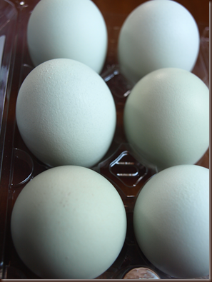 heirloom eggs