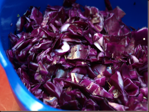 red cabbage