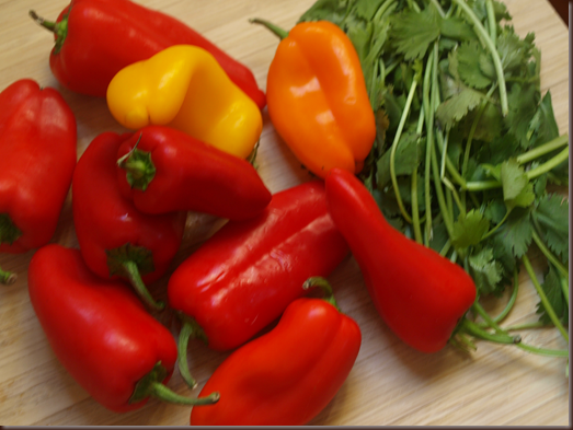 peppers and cilantro