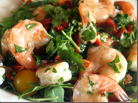 Yucatan Shrimp