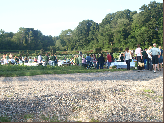 Volante Farms Dinner in the Field