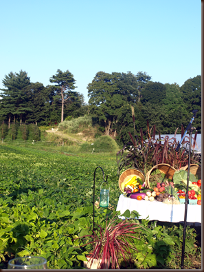 Volante Farms Dinner in the Field