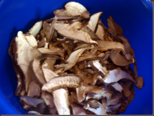 dried mushrooms