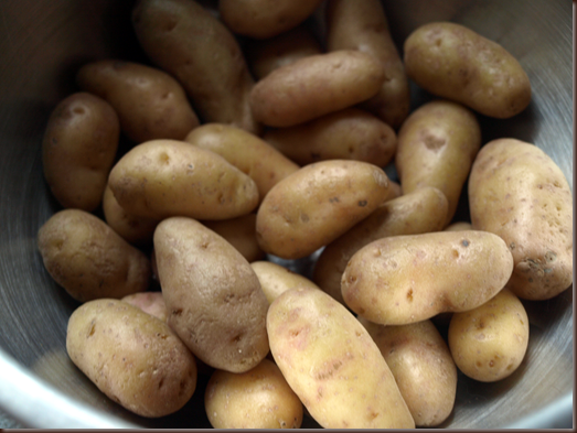 fingerling potatoes
