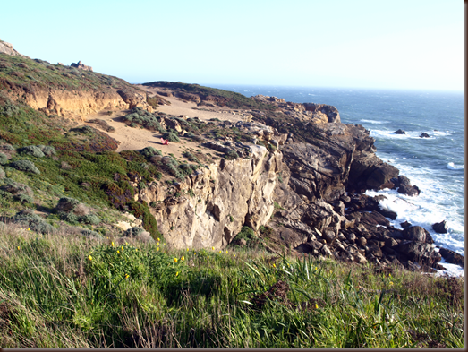 Northern Sonoma Coast