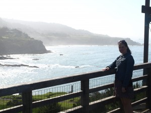 Sonoma Coast