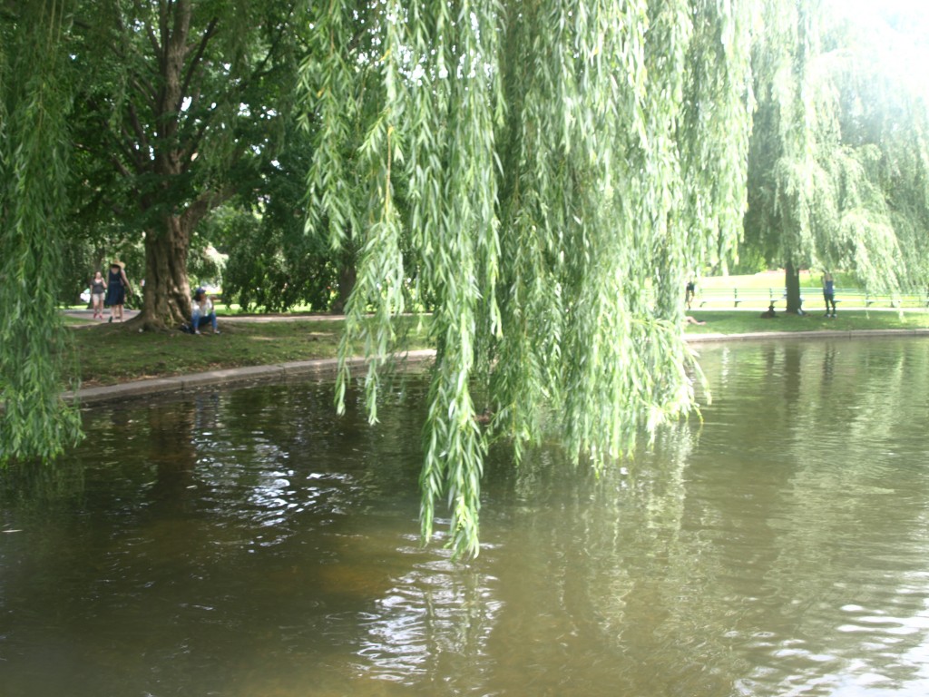 Boston Public Garden 