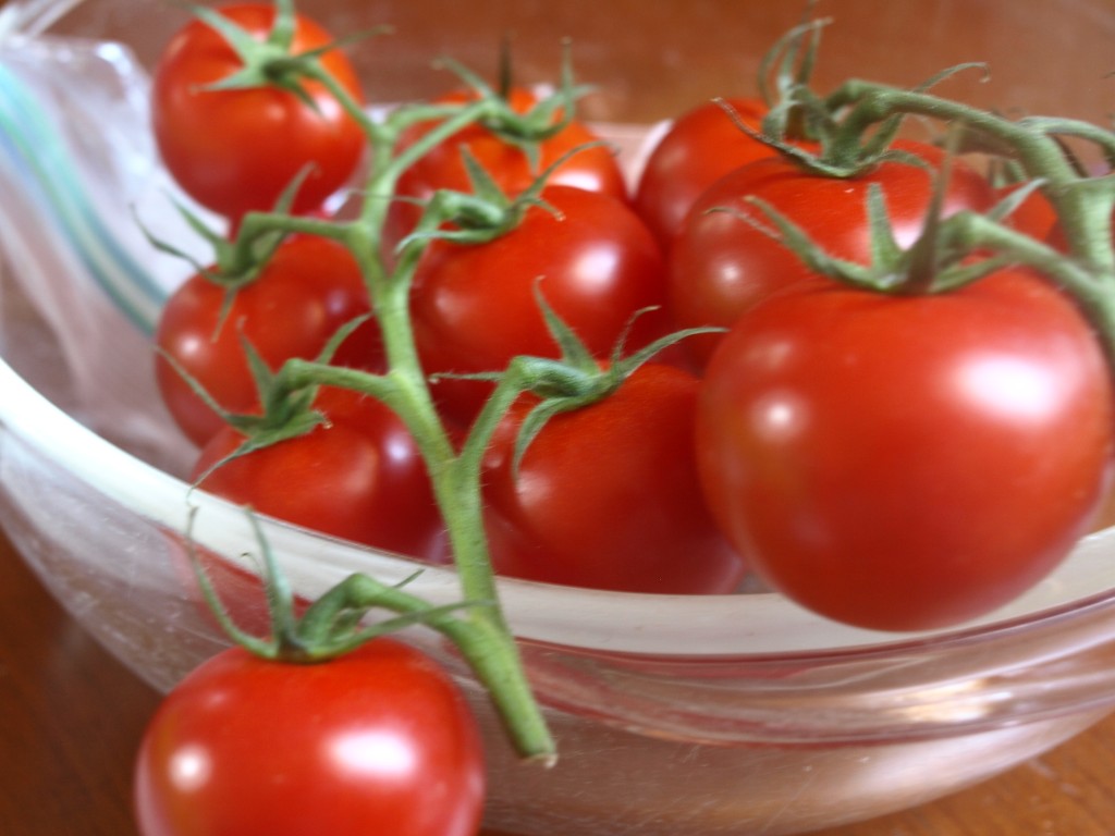 summer tomatoes