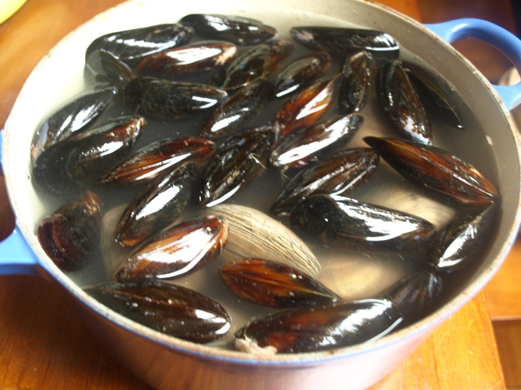 mussels and clams