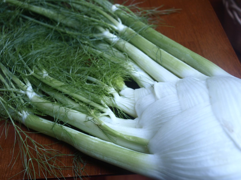 fennel