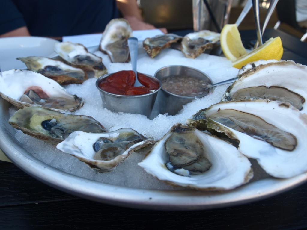 oysters