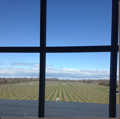 vineyard views