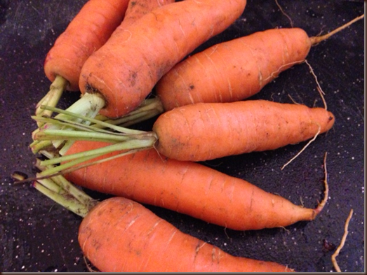 local carrots