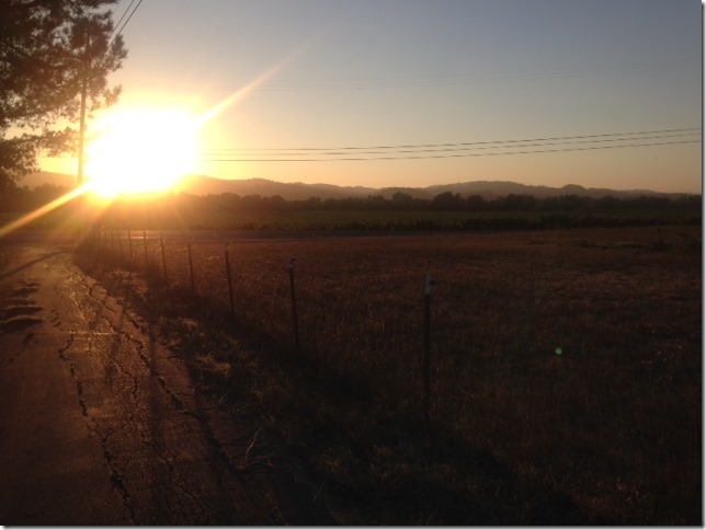 Russian River Valley sunset