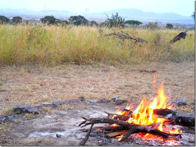 campfire in the Serengeti