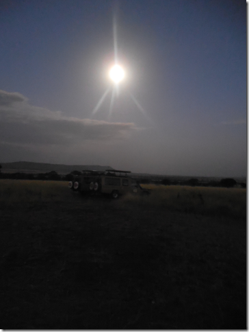 Serengeti moonset