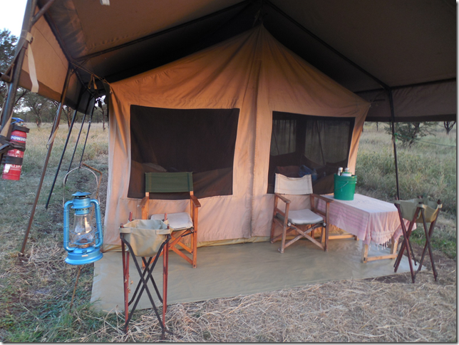 Serengeti camping