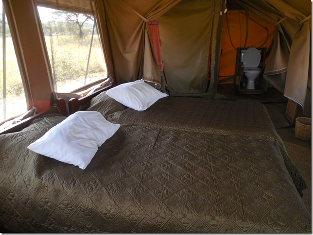 Serengeti camp