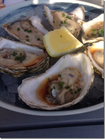 oysters at Loyal Nine