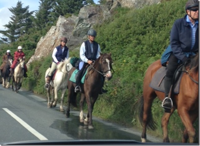 horses in Ireland