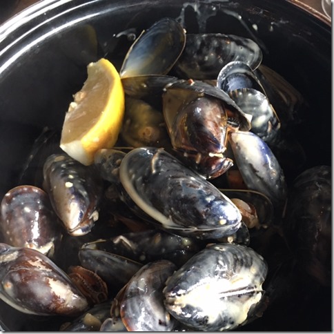 mussels in Ireland